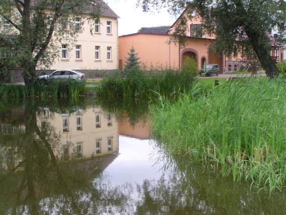 zur&uuml;ck zur Seite