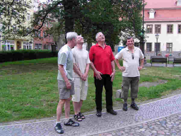 Bild zoomen