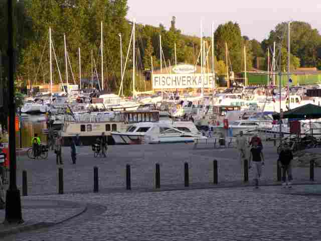 Bild zoomen